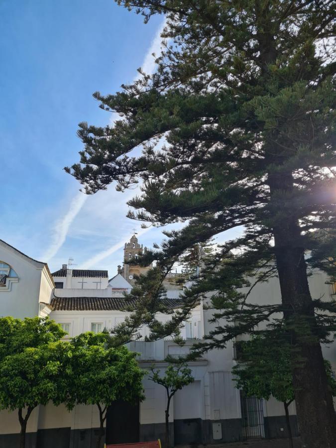 Araucaria Home Sanlúcar de Barrameda Exterior foto